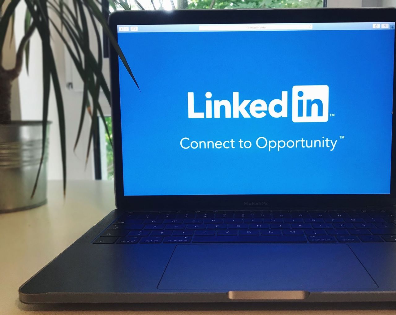 Use Search Tools and Platforms to Find Candidates